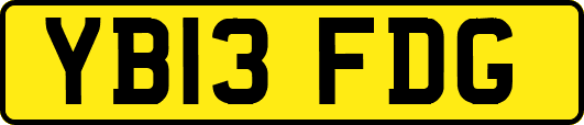 YB13FDG