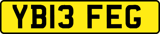 YB13FEG