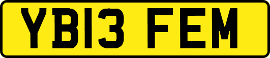 YB13FEM