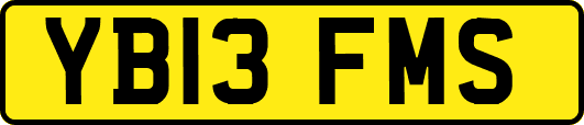 YB13FMS
