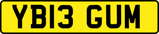 YB13GUM