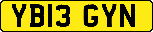 YB13GYN