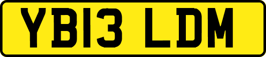 YB13LDM