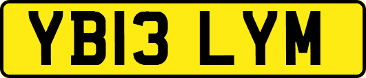 YB13LYM