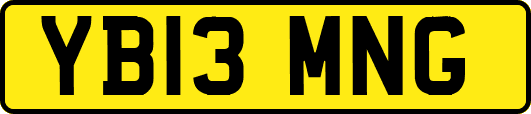YB13MNG