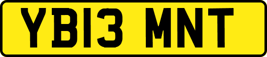 YB13MNT