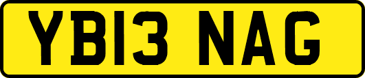 YB13NAG