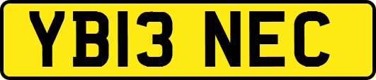 YB13NEC