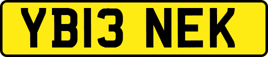 YB13NEK