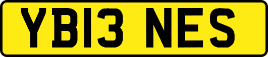 YB13NES