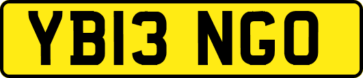 YB13NGO