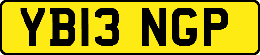 YB13NGP