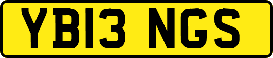 YB13NGS