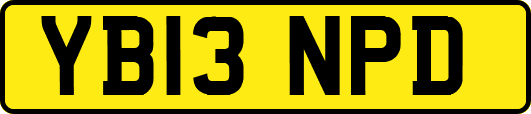 YB13NPD