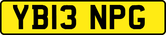 YB13NPG