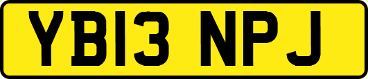 YB13NPJ