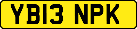 YB13NPK