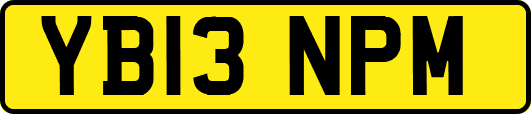 YB13NPM