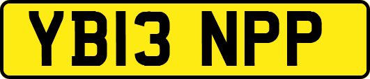 YB13NPP