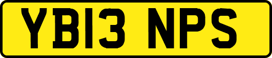 YB13NPS