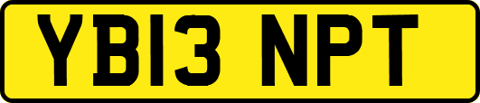 YB13NPT