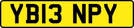 YB13NPY