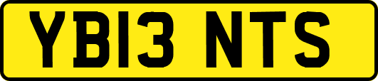 YB13NTS