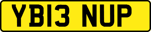 YB13NUP