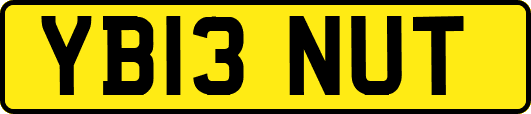 YB13NUT