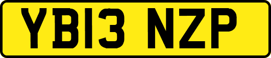 YB13NZP
