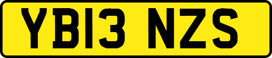 YB13NZS