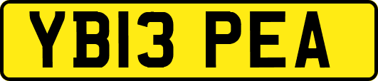 YB13PEA