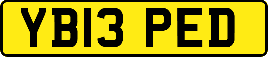 YB13PED