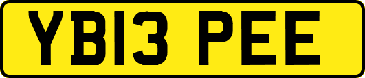 YB13PEE