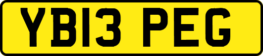 YB13PEG