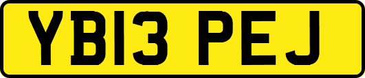 YB13PEJ