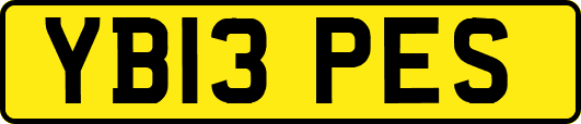 YB13PES