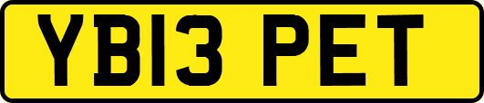 YB13PET
