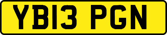 YB13PGN