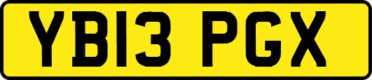 YB13PGX