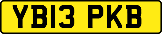 YB13PKB