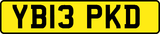 YB13PKD