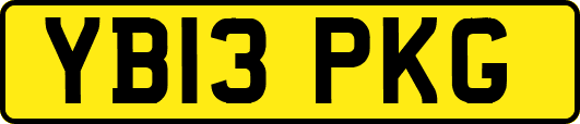 YB13PKG