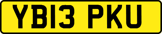 YB13PKU