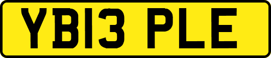 YB13PLE