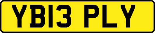 YB13PLY
