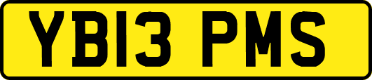 YB13PMS