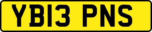 YB13PNS