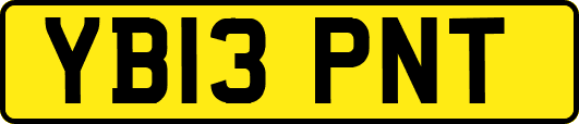 YB13PNT