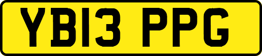 YB13PPG